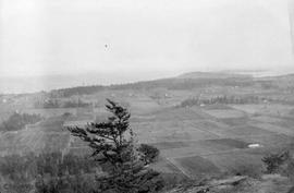 View east from Mt. Newton