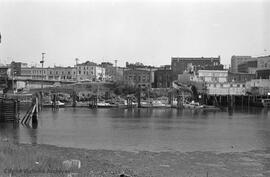 Looking towards 1300 and 1400 block Store Street from Victoria West