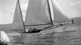 Sailboats in Cowichan Bay