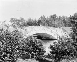 Bridge in Beacon Hill Park