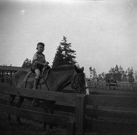 McDonald boy on horse