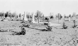 Ross Bay Cemetery, Japanese graves