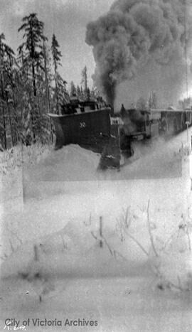 Train with snowplow