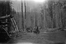 Canoe on the river with trees in background