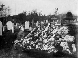 Grave at Ross Bay Cemetery