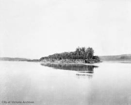 A batture or sand island on the Peace [River]