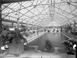 Crystal Gardens, interior