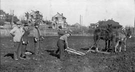 Planting potatoes on Southgate Street