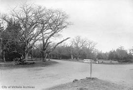 Beacon Hill Park