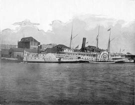 Steamers at Turner & Beeton Co. wharves