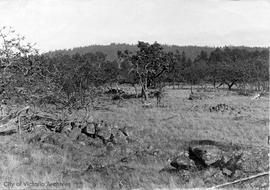 Burial Cairn at Cadboro Bay