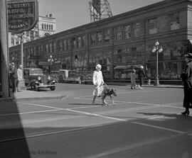 Dog leading blind girl