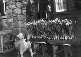 Dog and flower planters at 1701 Beach Drive