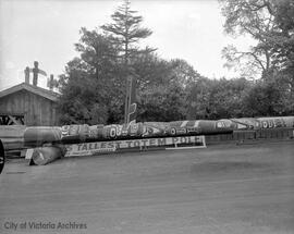 World's tallest totem laid out at Thunderbird Park