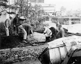 Centennial Square, moving and replacing trees