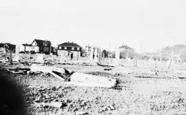 Logs laying in Ross Bay Cemetery followiong a severe storm