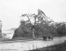 Car on Beach Drive in the Uplands area