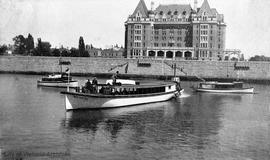 White Swan flyer in the Inner Harbour, off to the Gorge