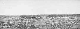 View from Mt. Tolmie