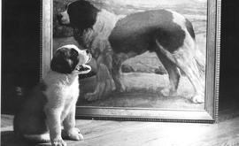 Canadian Scottish Regiment mascot Wallace II with a painting of Wallace I