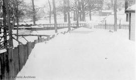 Snow in residential neighbourhood