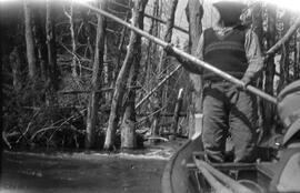 Man paddling canoe