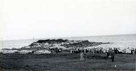 Clover Point, waiting arrival of Marilyn Bell