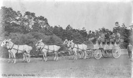 David Fair, driver for Tally-Ho, with a team of horses in Beacon Hill Park